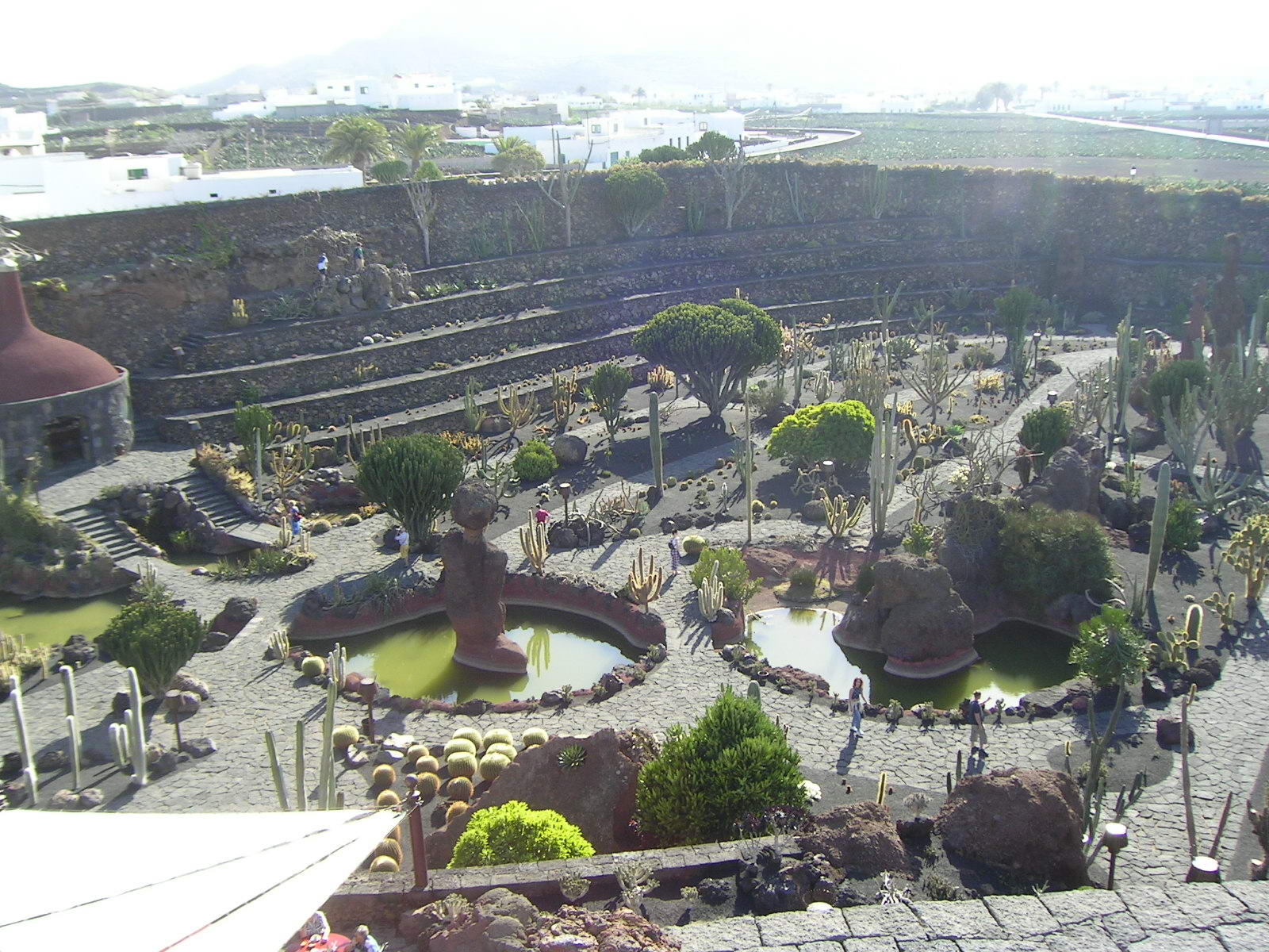 Jardin de Cactus (Lanzarote) -  .   . ( )