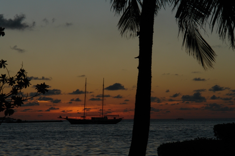   –     ( Maldives - sail boat at sun set )